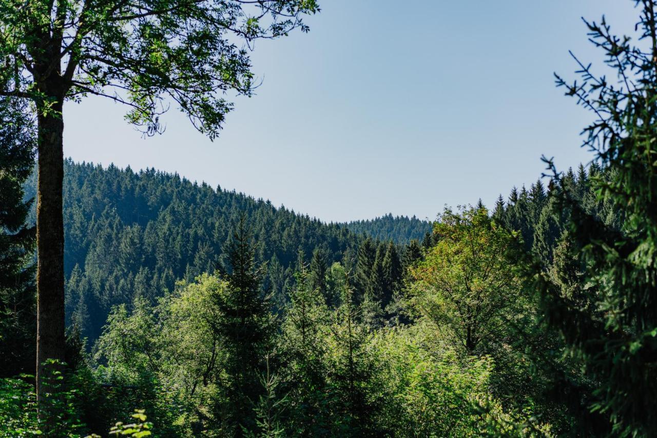 Pension Haus Vogelsang Wildemann Εξωτερικό φωτογραφία