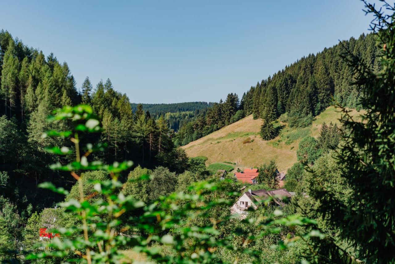 Pension Haus Vogelsang Wildemann Εξωτερικό φωτογραφία