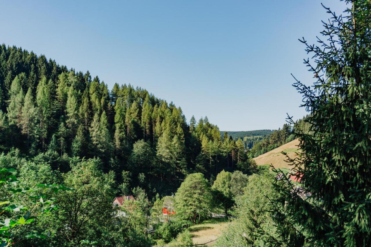 Pension Haus Vogelsang Wildemann Εξωτερικό φωτογραφία